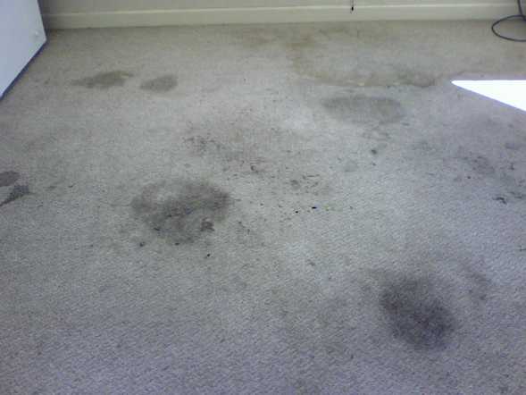 Dirty Carpet Before Cleaning